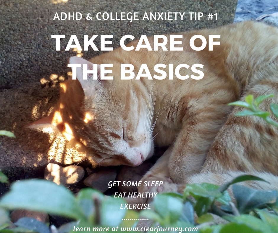 Sheri Hall-Miller, Professional ADHD Life Coach
